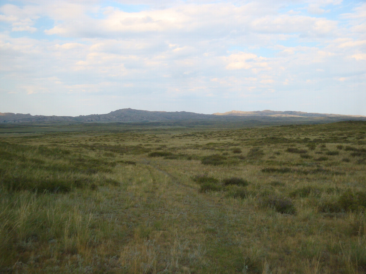 Местный пейзаж / Local landscape