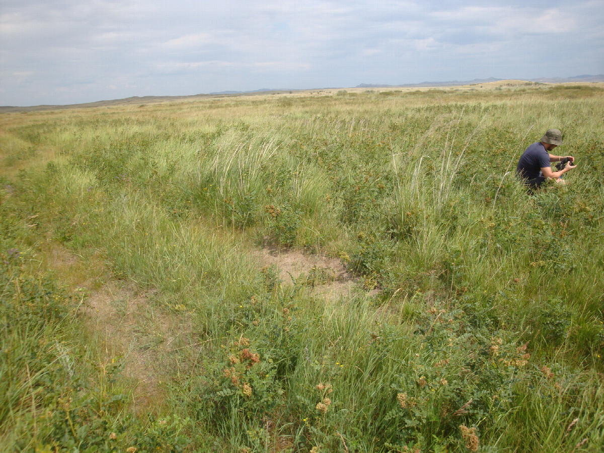 Рядом след дороги / Road trace nearby