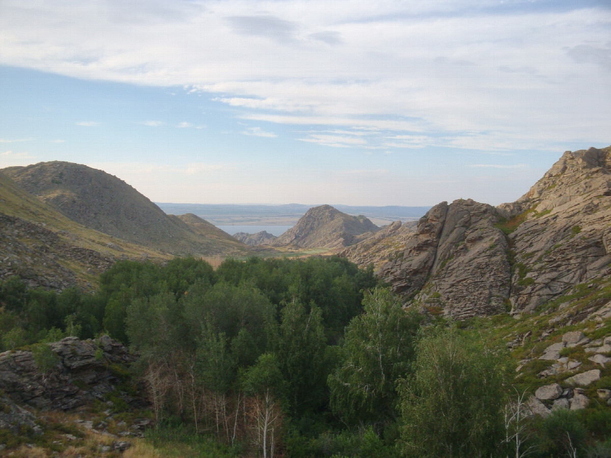 Местный пейзаж / Local landscape