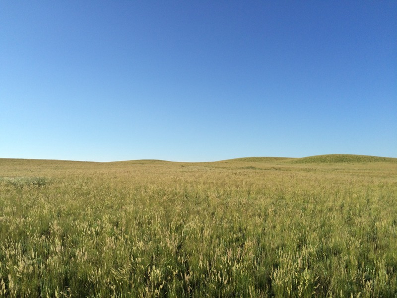 100 метров до точки / 100 meters to the confluence