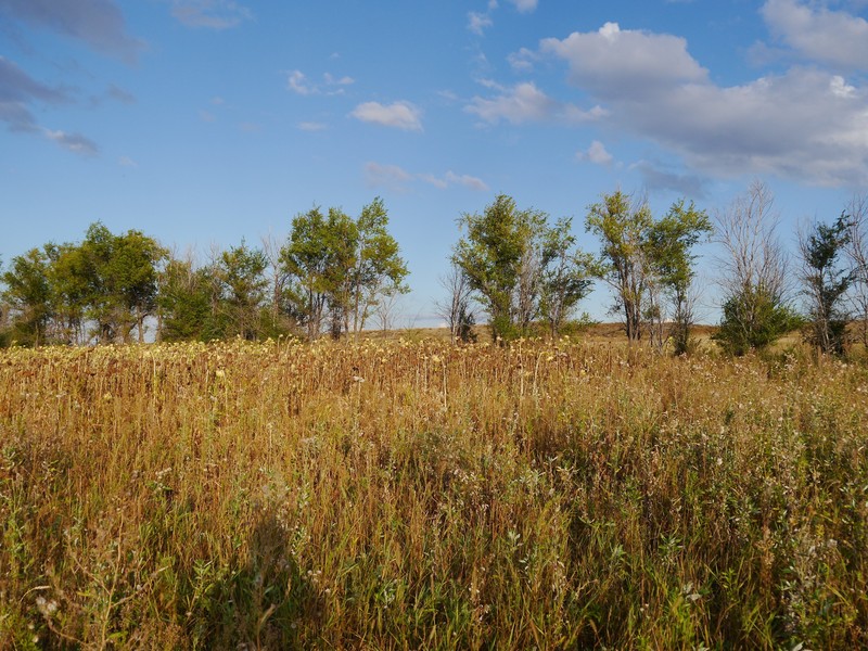 Looking eastwards