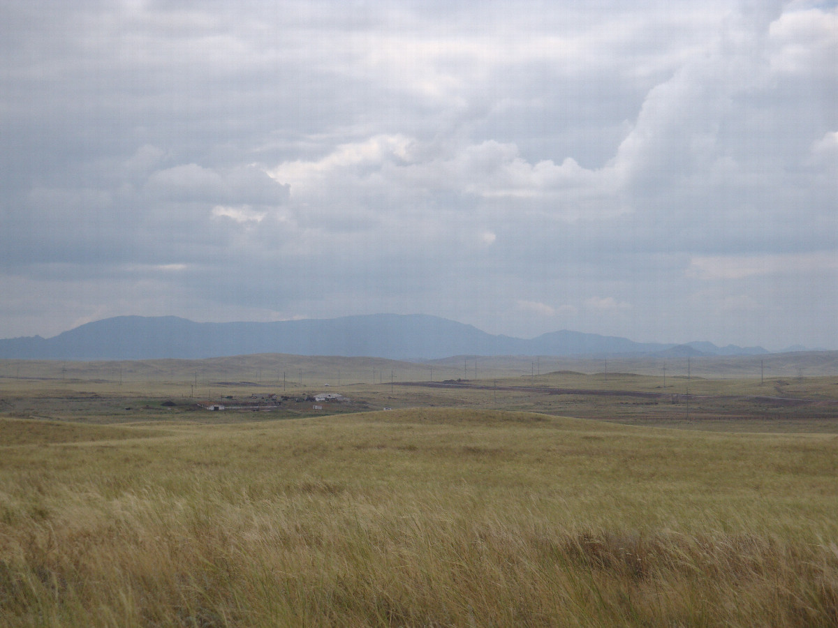 Местный пейзаж / Local landscape