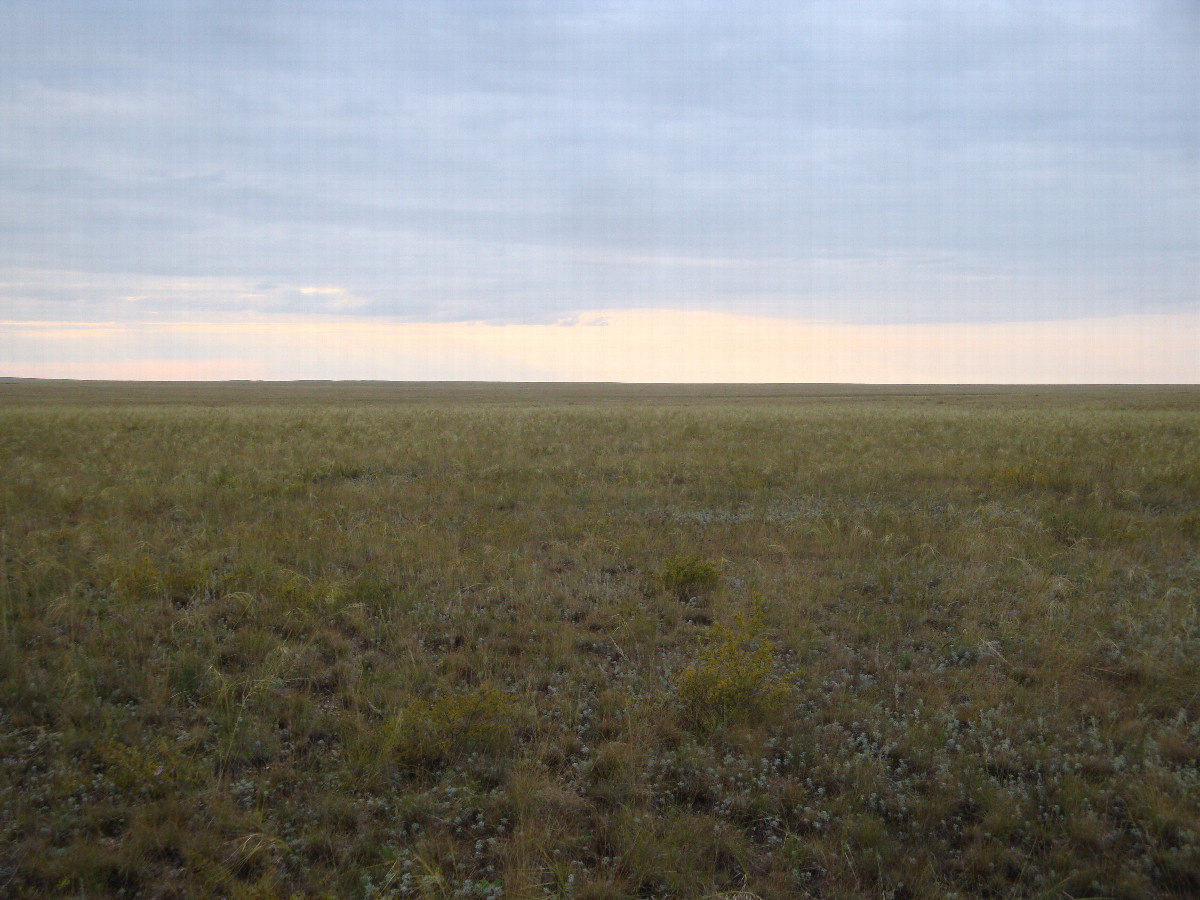 На запад / Facing West