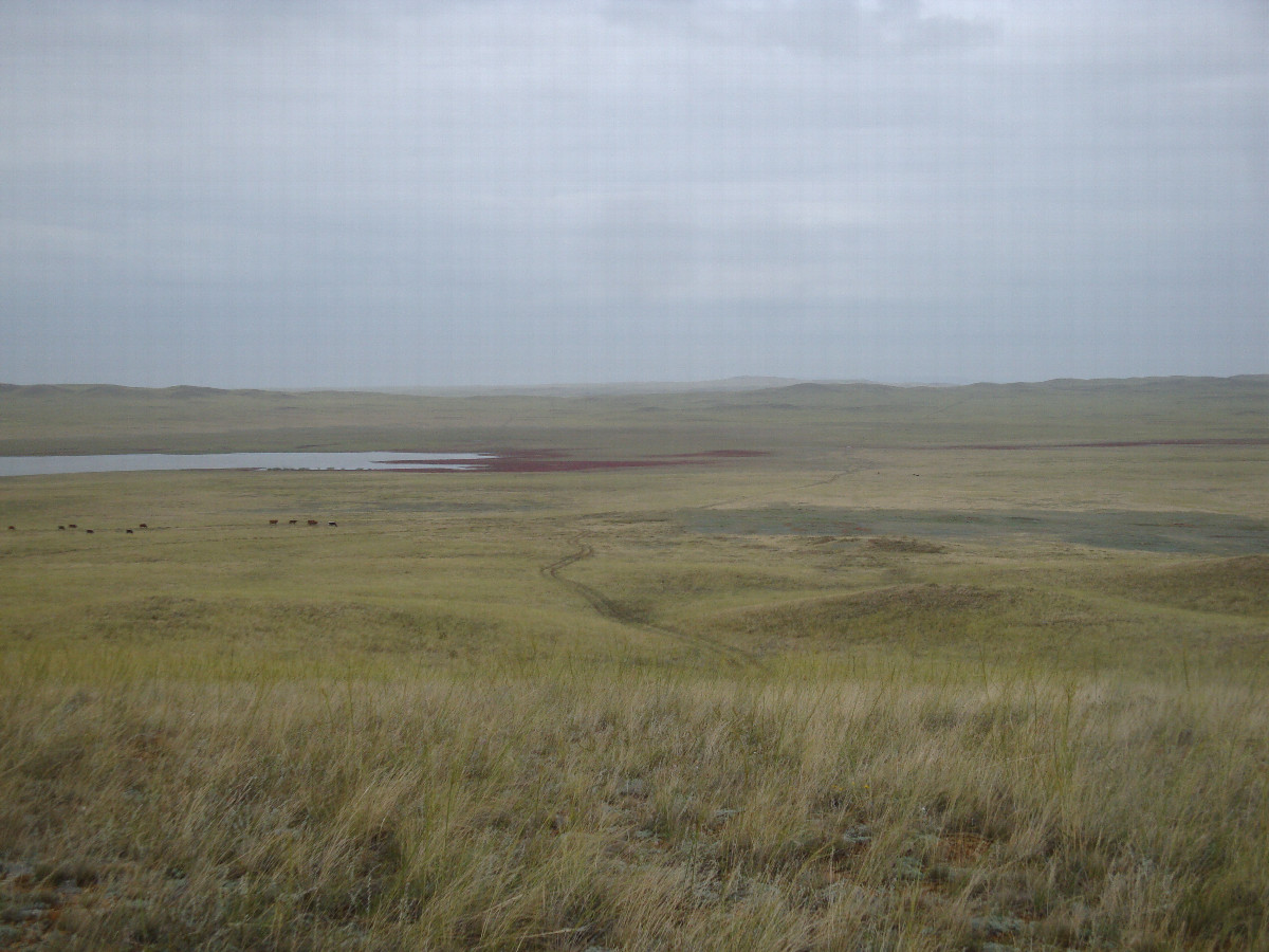 Степными дорогами / Along steppe roads