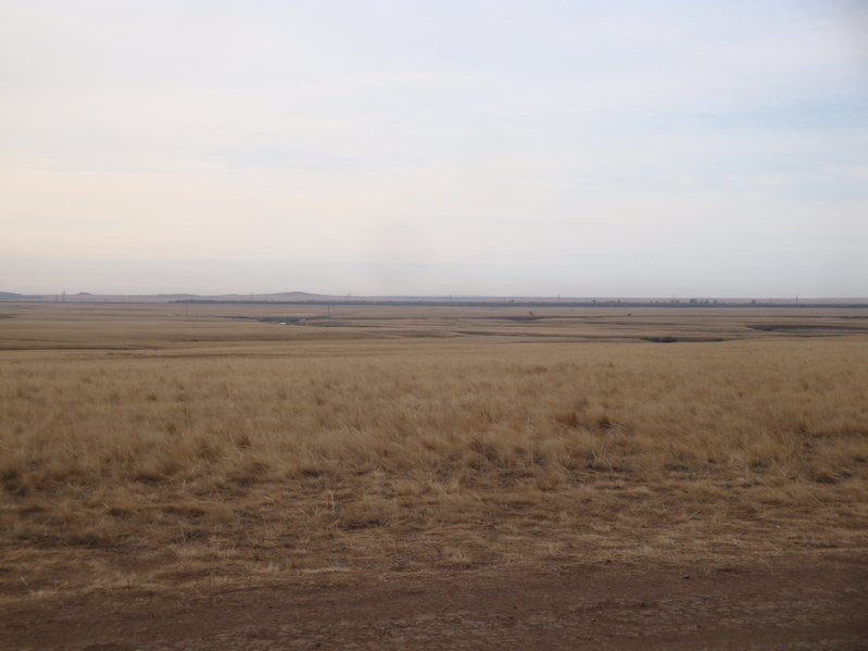 Местный пейзаж / Local landscape