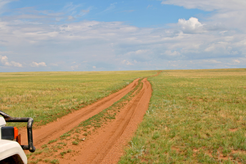 Returning with Africa feeling - horizon left side GRES-2 chimney (tallest of the world)