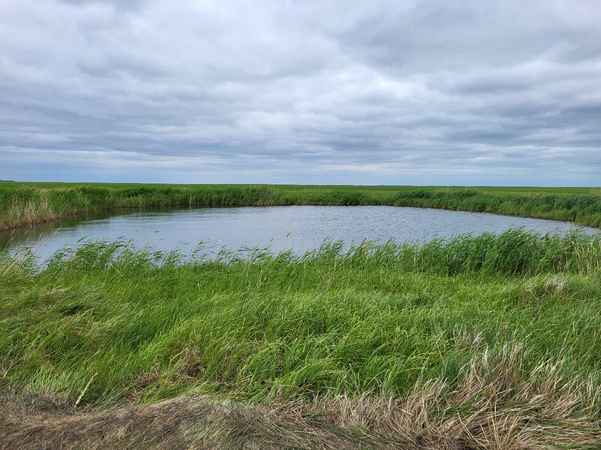 водоём / Water