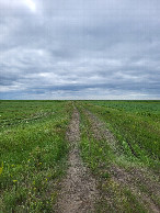 #9: полевая дорога / Field road