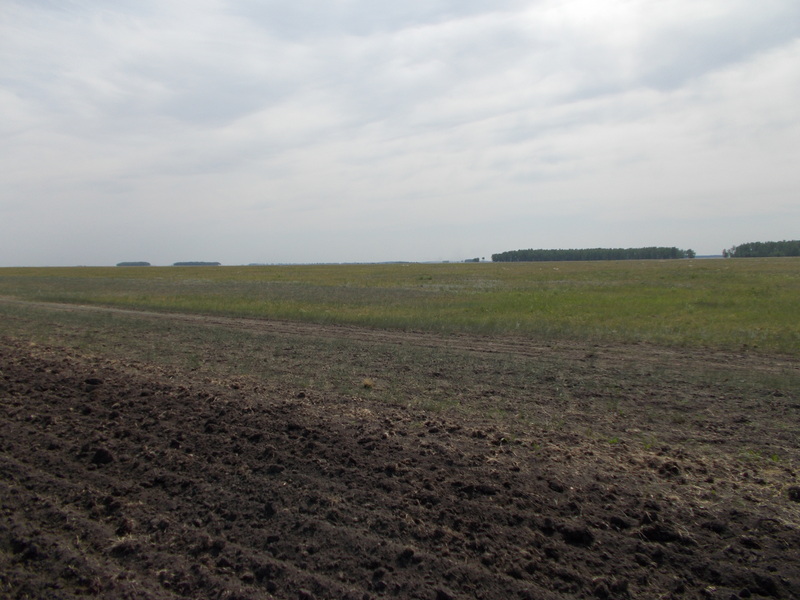 Вид на пересечение с полевой дороги/Confluence view from the field road