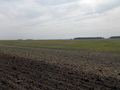 #5: Вид на пересечение с полевой дороги/Confluence view from the field road