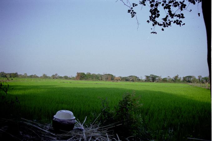 Drinking water jar in shade under trees north of confluences; view east