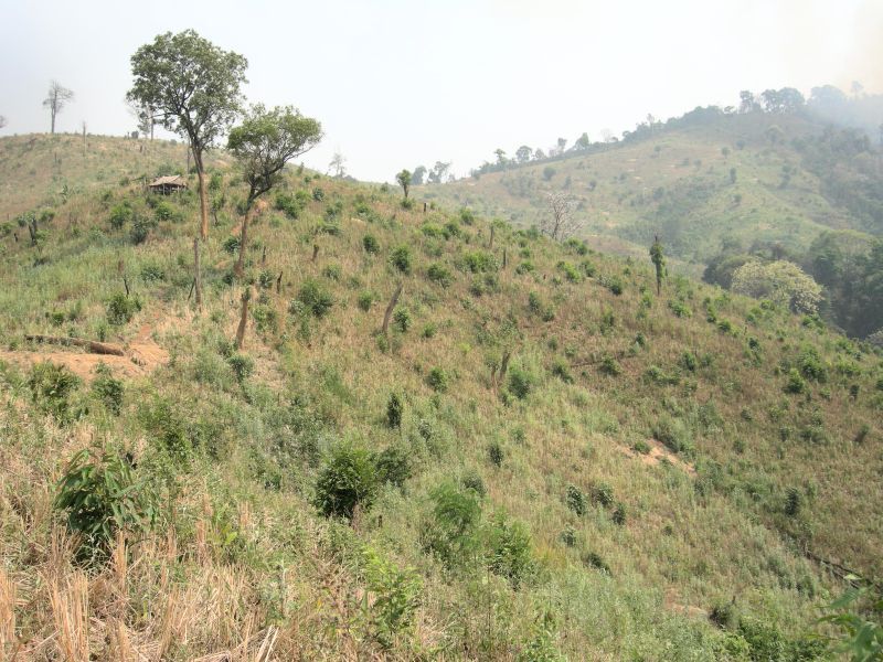 the confluence point from 30m distance