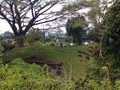 #3: Fredrik standing inside the park, about 15-20 m from the confluence