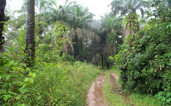 Road to the Confluence