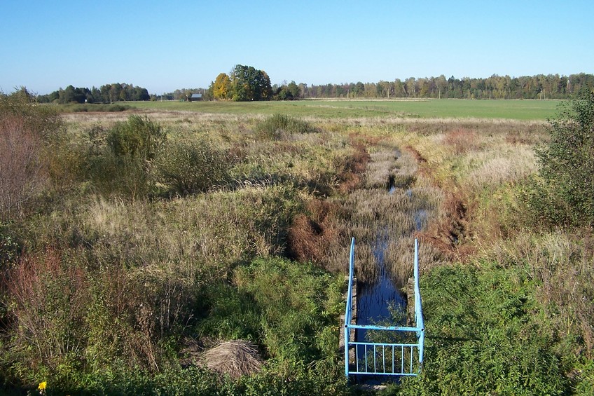 View towards N ca. 60 m away from the confluence