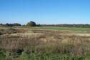 #6: View towards E ca. 100 m away from the confluence