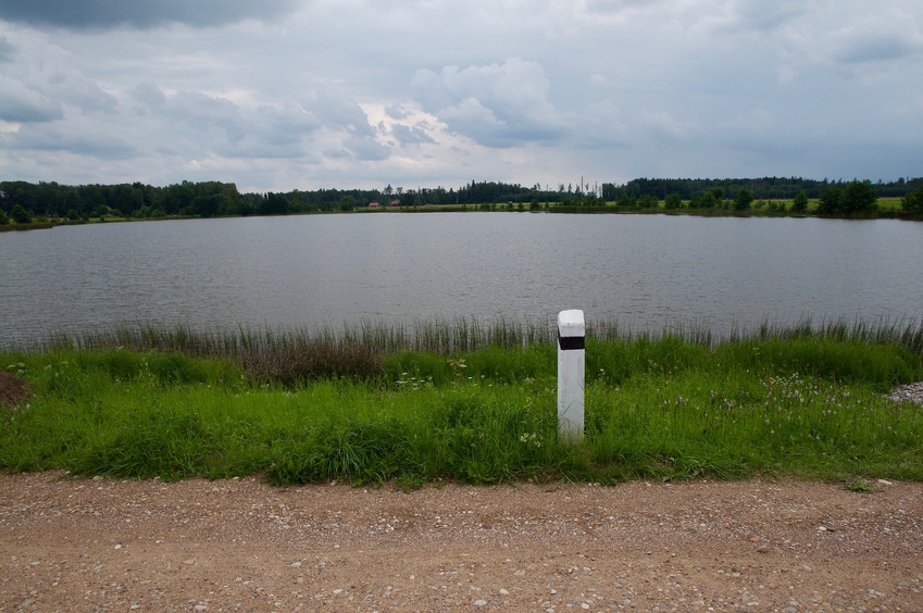 View South (across the pond)