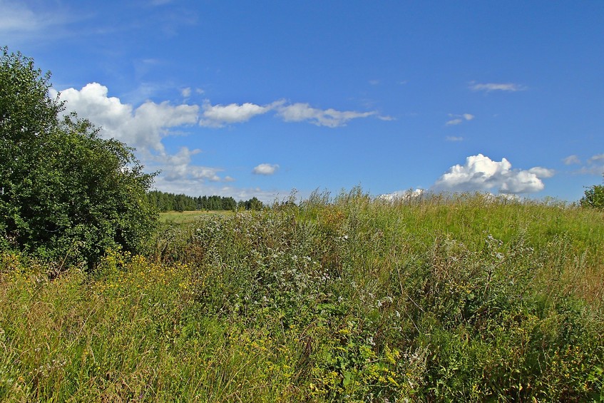 View to the east / Вид на восток