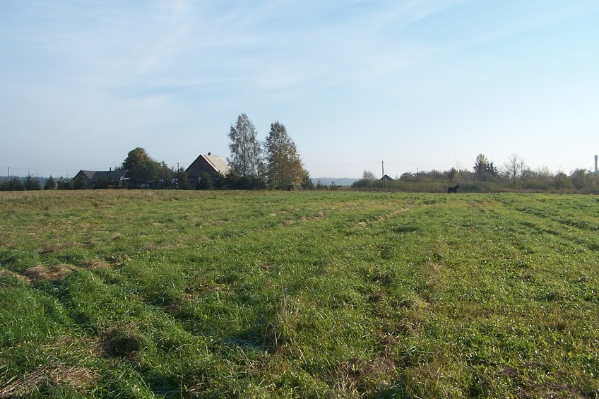 View towards E from the confluence