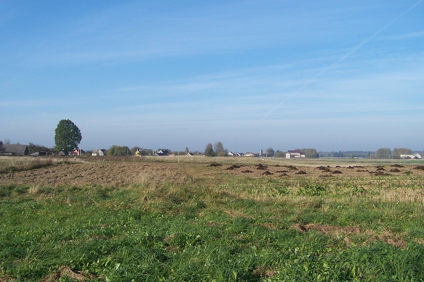 View towards W from the confluence