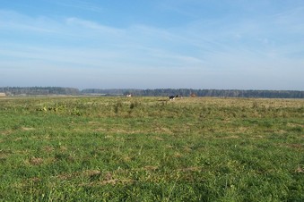 #1: General view of the confluence (towards N)