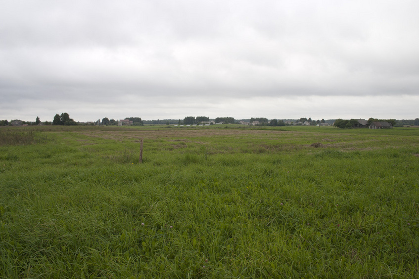 View West from CP