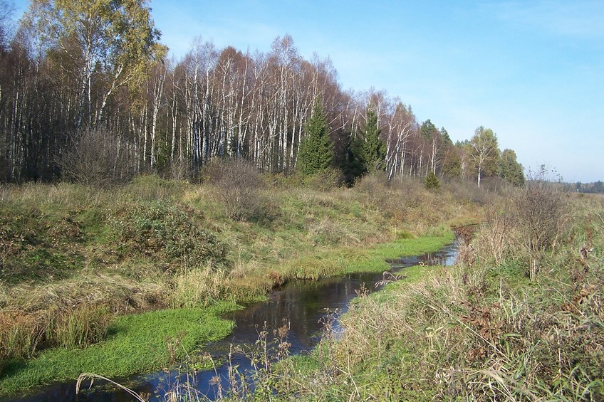 View towards N from the confluence