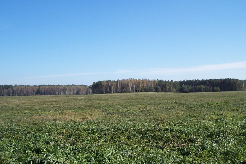 View towards E from the confluence