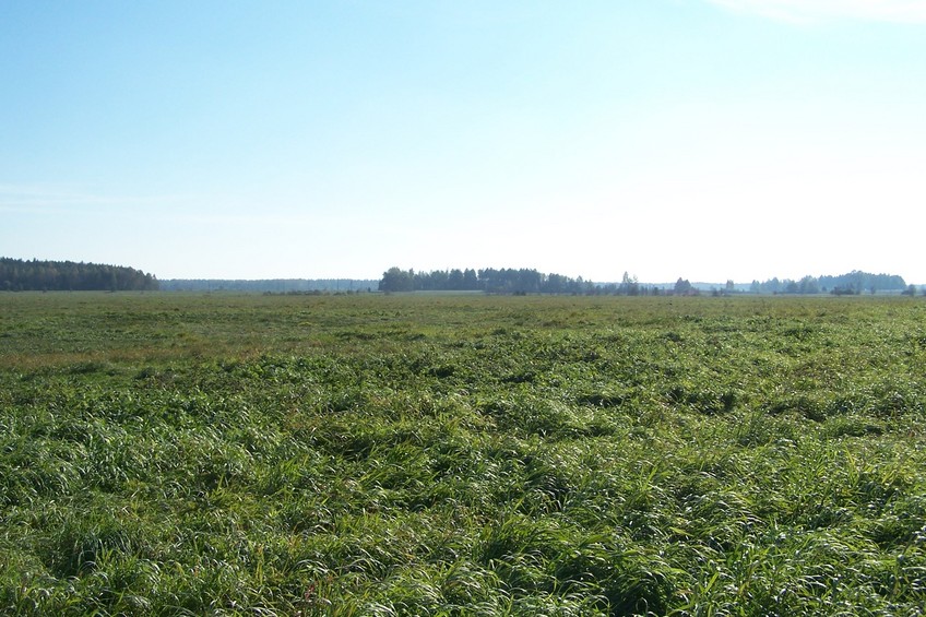 View towards S from the confluence