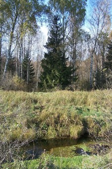 #1: General view of the confluence (towards W, ca. 15 m away)