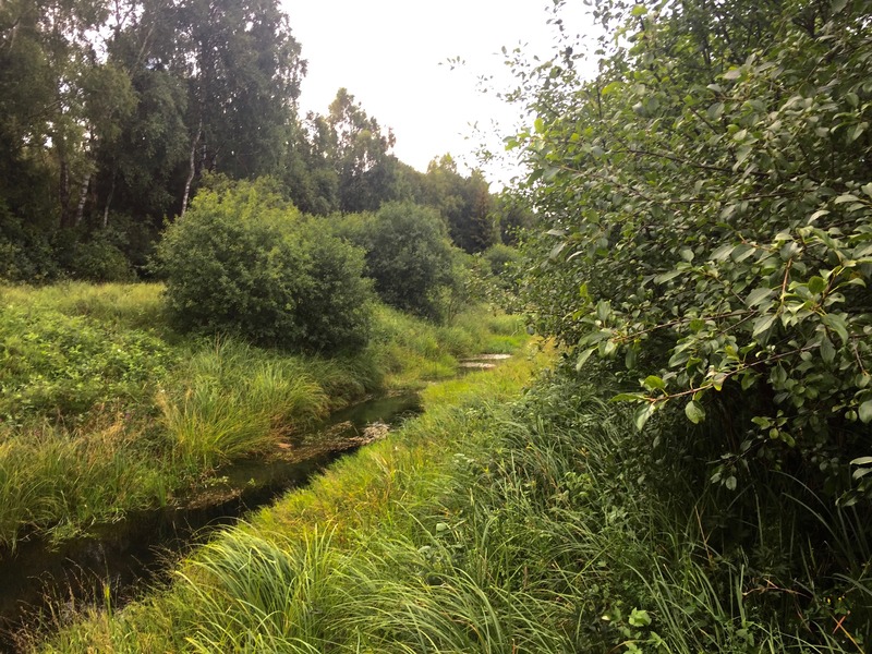 View North (along the creek)