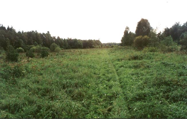 The confluence viewed from 200 m distance (towards north)