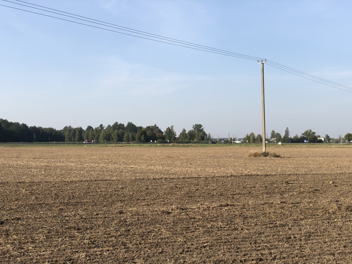 The Confluence from 20 m Distance