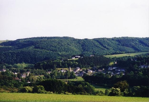 Wilderwiltz to the south from the confluence