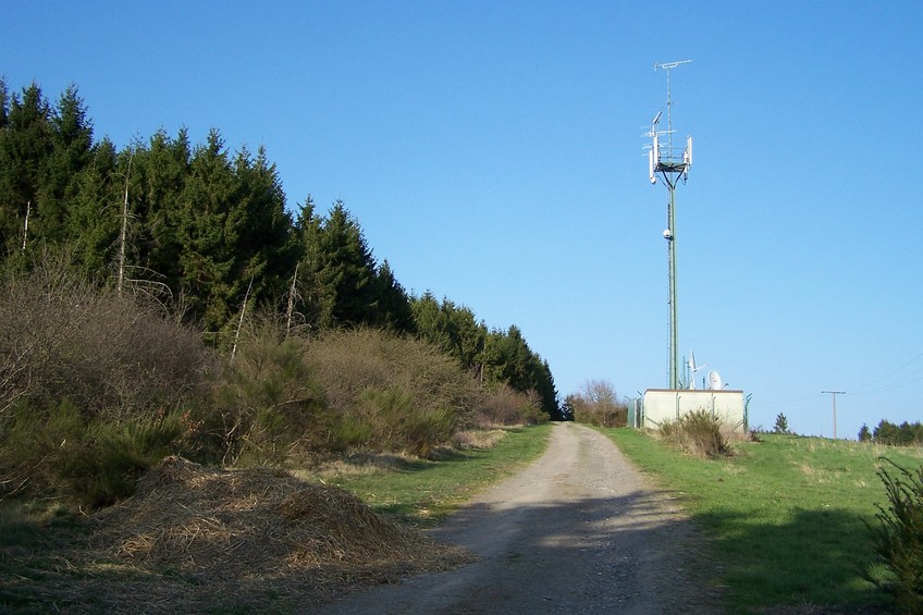 View towards E from the confluence