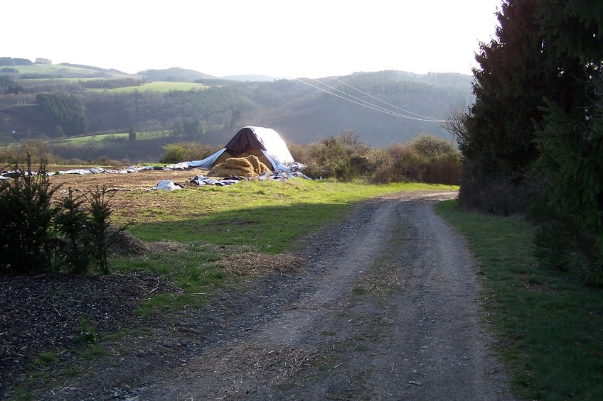 View towards W from the confluence