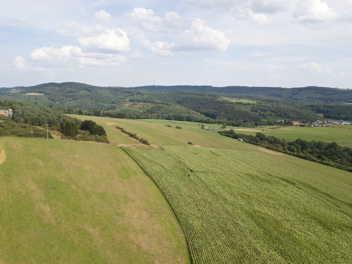 View East, from 50m above the point