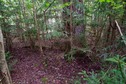 #5: The confluence point lies in forest, next to the Riežupe river