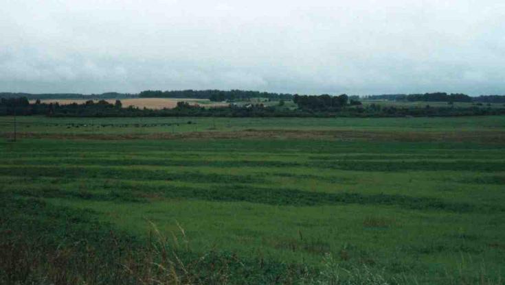 The landscape directly out of the forest (about 4 km from the confluence)