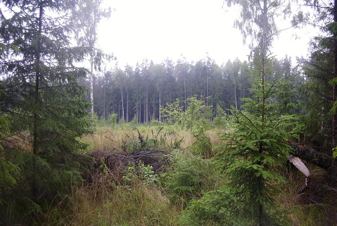 Blick nach Süden / View south