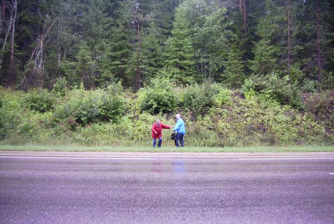 Weg aus dem Wald / Way out of the forest