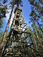 #7: Fire tower