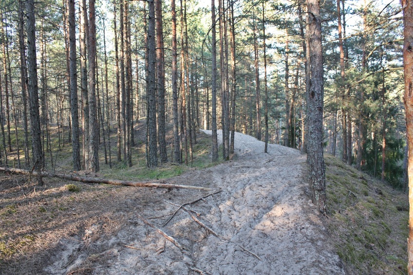 The path goes from north-east to south-west / Тропинка идет с северо-востока на юго-запад