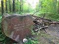 #6: The trailhead where I parked my car - about 300 m from the point