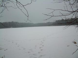 #1: View from east shore of lake.