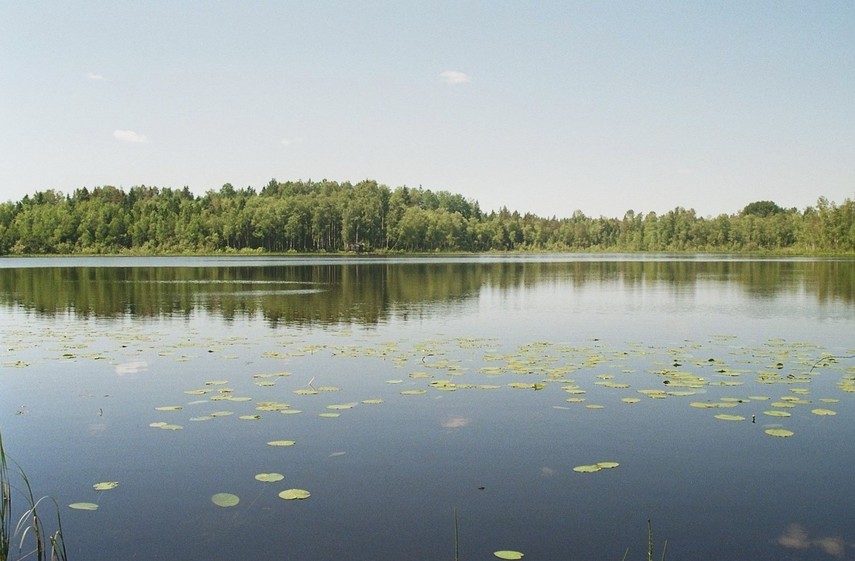 the confluence point, 85 m away looking west