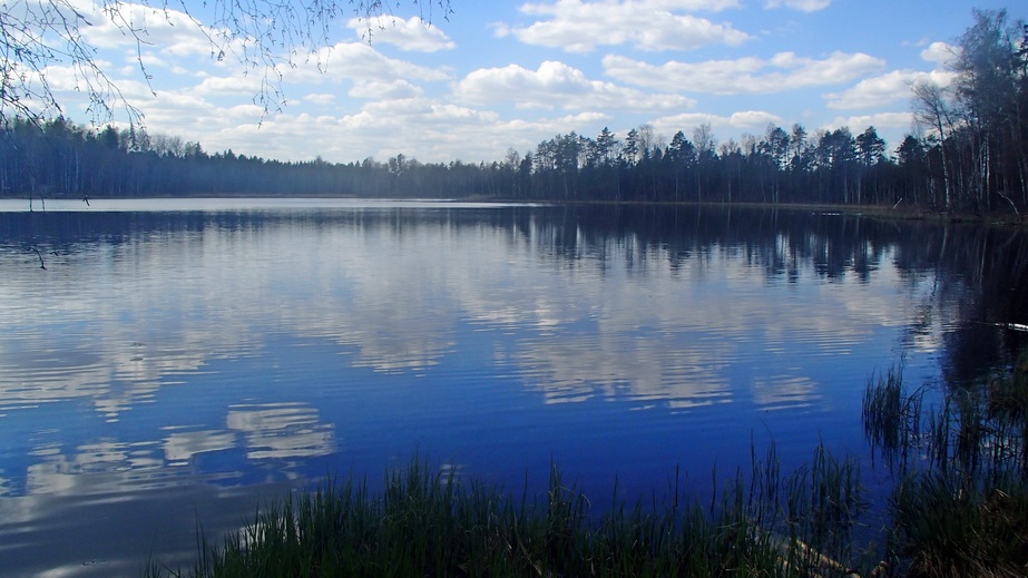 General view in west direction / Общий вид в западном направлении