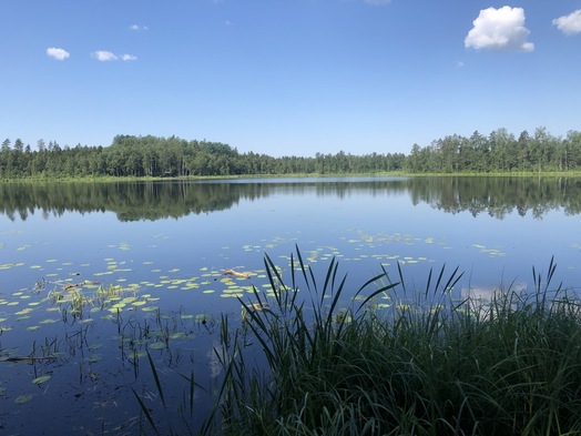 #1: The Confluence from 90 m Distance