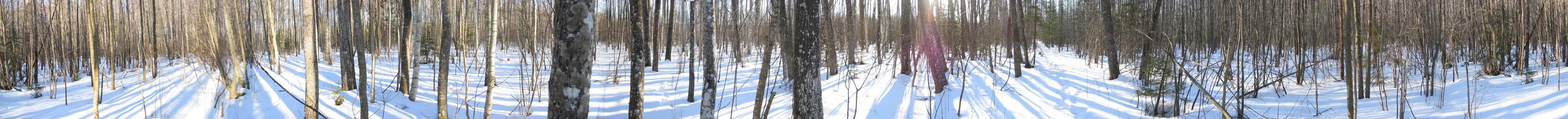 Traditional panoramic 360° view