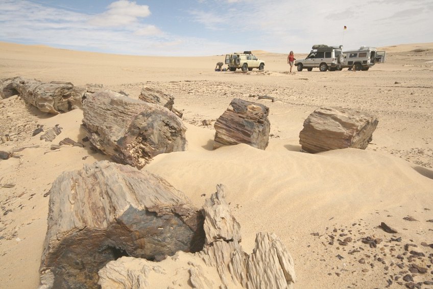 Petrified wood at Jabal al-Ma'rūf